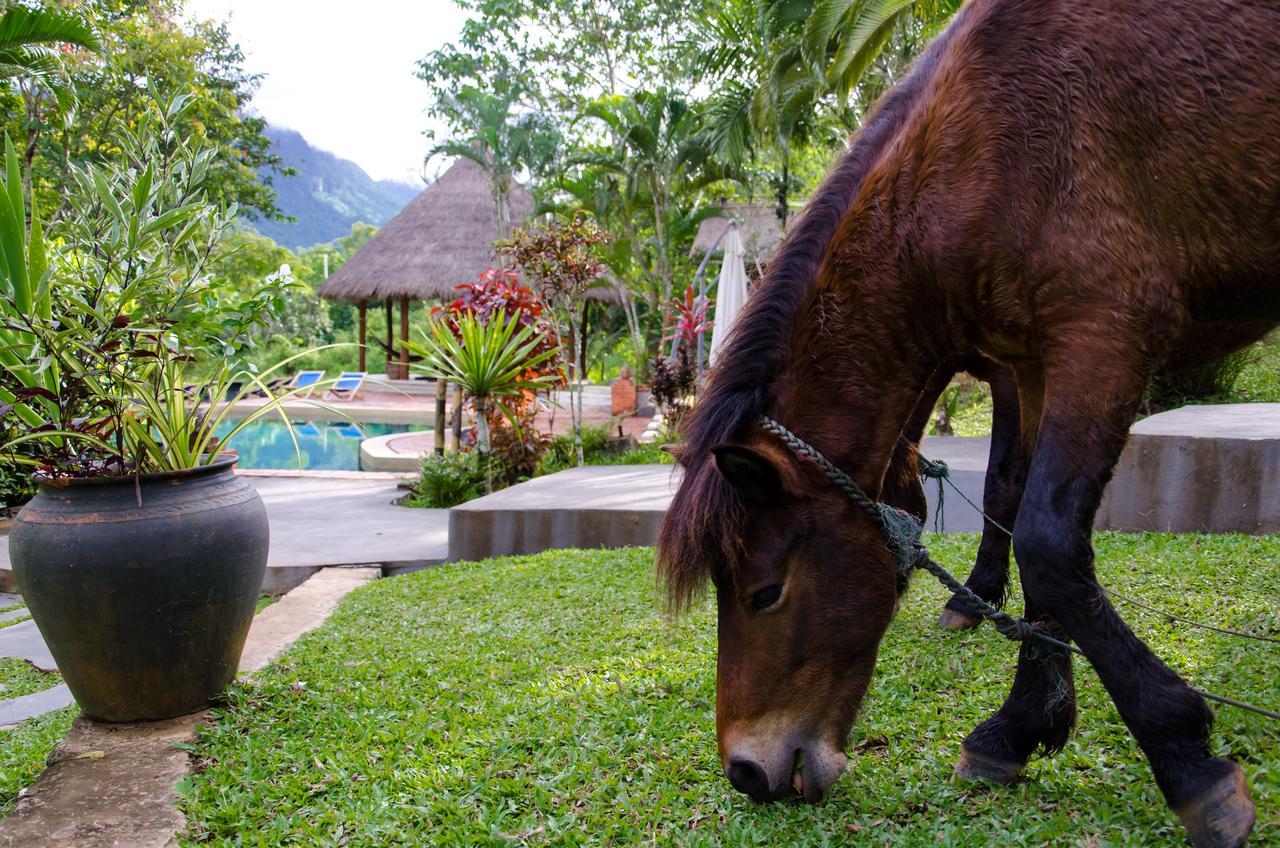 Hillside - Nature Lifestyle Lodge Luang Prabang Exterior photo